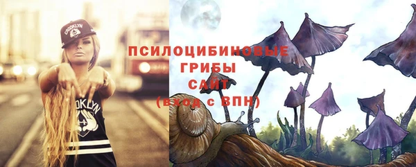spice Балахна
