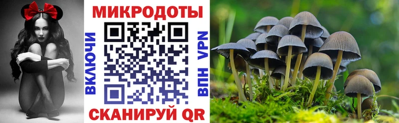 Псилоцибиновые грибы мицелий  закладки  Вольск 
